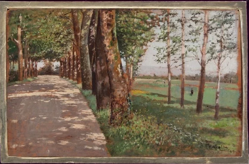  121-Viale alberato 